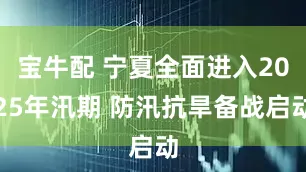 宝牛配 宁夏全面进入2025年汛期 防汛抗旱备战启动