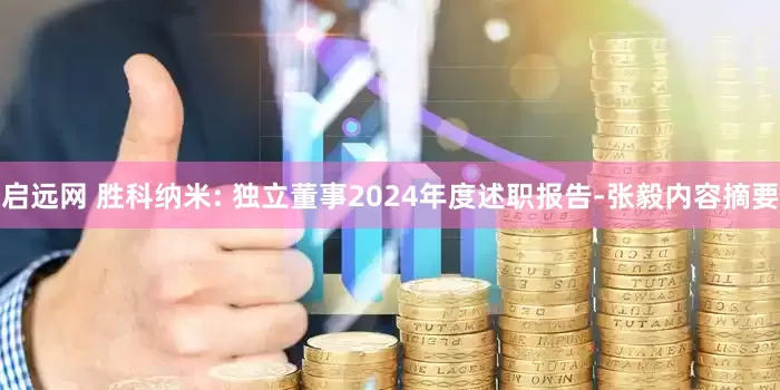 启远网 胜科纳米: 独立董事2024年度述职报告-张毅内容摘要