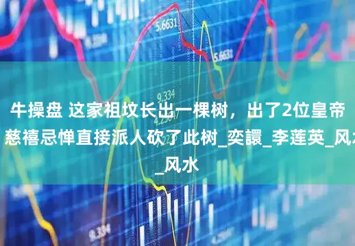 牛操盘 这家祖坟长出一棵树，出了2位皇帝，慈禧忌惮直接派人砍了此树_奕譞_李莲英_风水