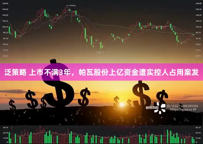 泛策略 上市不满3年，帕瓦股份上亿资金遭实控人占用案发