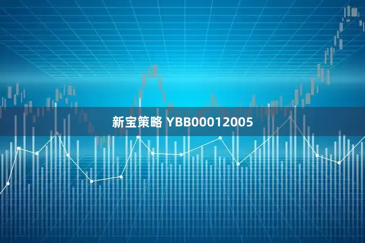 新宝策略 YBB00012005